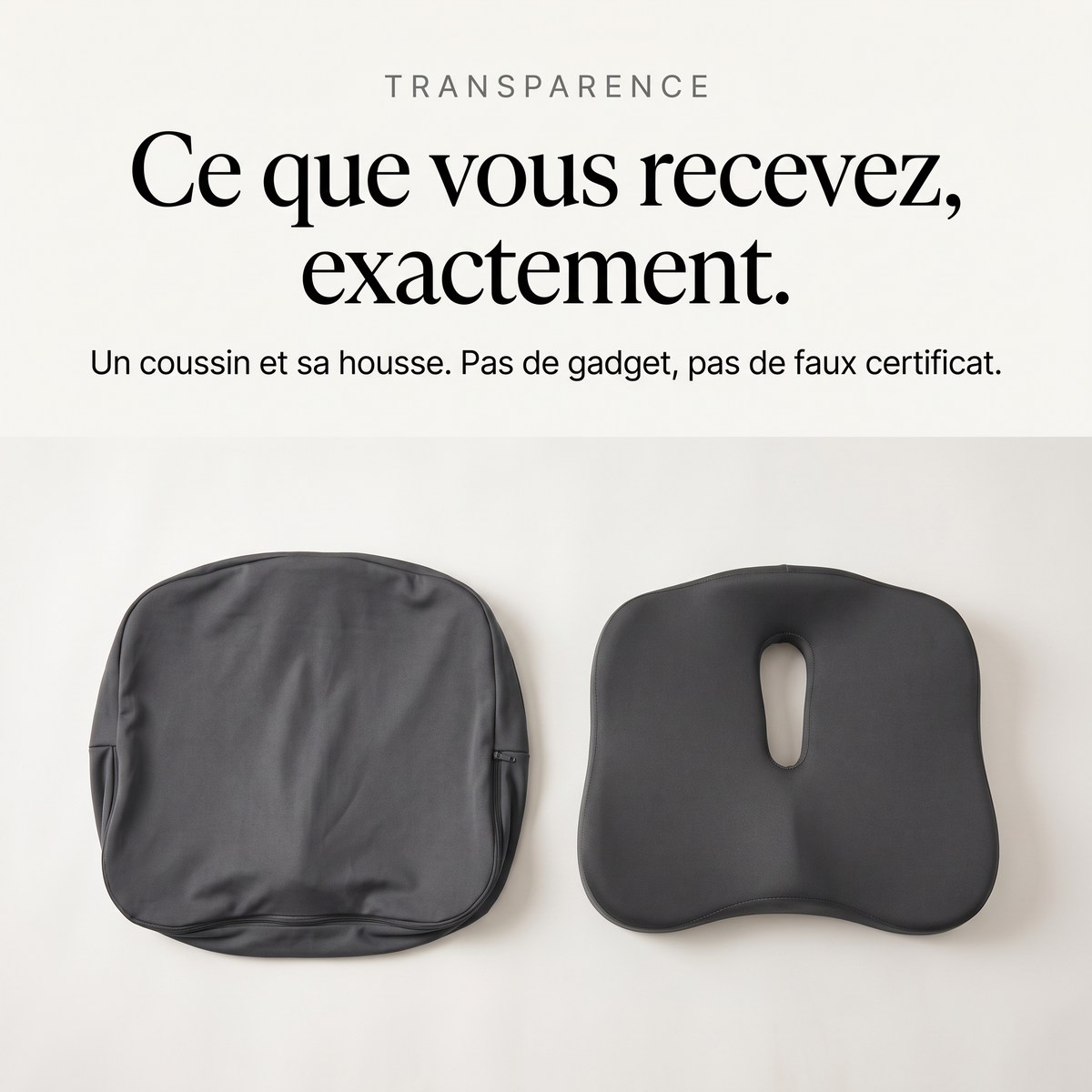 Transparence : ce que vous recevez, un coussin et sa housse déhoussable